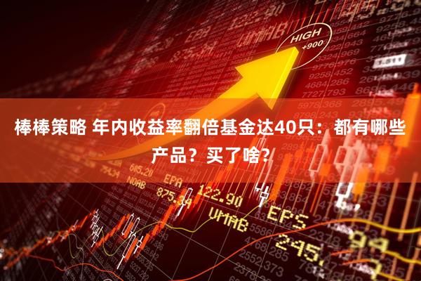 棒棒策略 年内收益率翻倍基金达40只：都有哪些产品？买了啥？