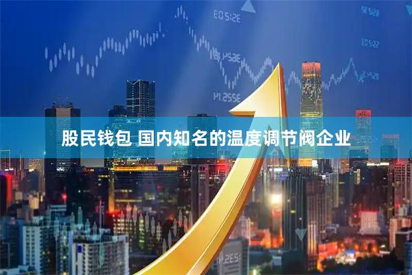 股民钱包 国内知名的温度调节阀企业