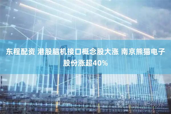 东程配资 港股脑机接口概念股大涨 南京熊猫电子股份涨超40%