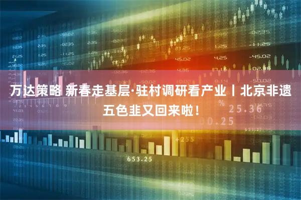 万达策略 新春走基层·驻村调研看产业丨北京非遗五色韭又回来啦！