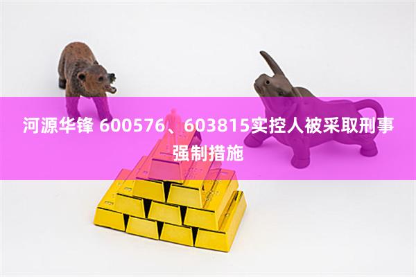 河源华锋 600576、603815实控人被采取刑事强制措施