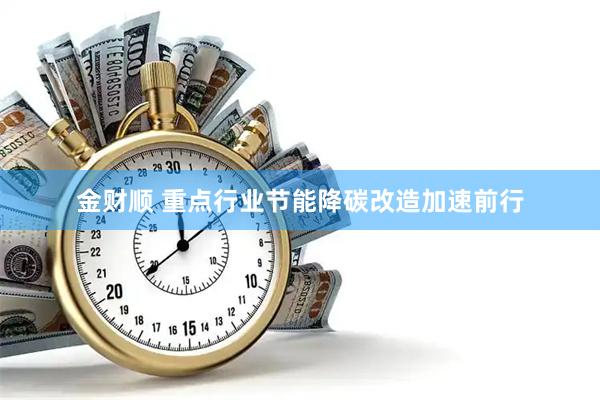 金财顺 重点行业节能降碳改造加速前行