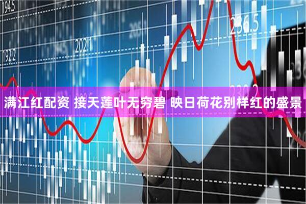 满江红配资 接天莲叶无穷碧 映日荷花别样红的盛景