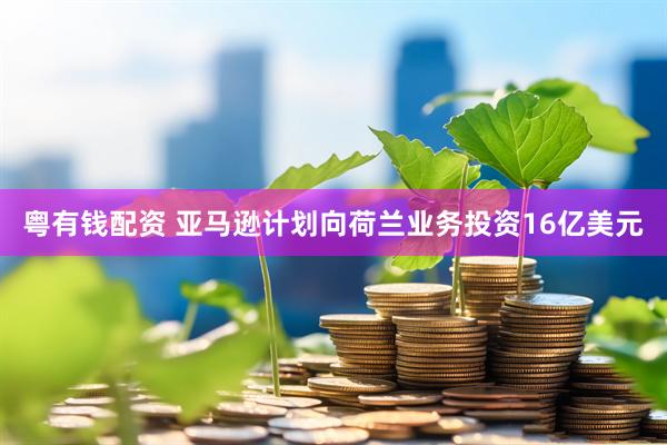 粤有钱配资 亚马逊计划向荷兰业务投资16亿美元
