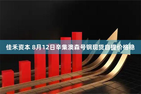 佳禾资本 8月12日辛集澳森号钢现货自提价格稳